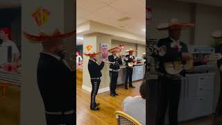 Son de la negra , mariachi Reyes de México zaragoza España , 680745096