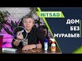 Как навсегда избавится от муравьёв в доме ✔️ Эффективные препараты от муравьёв