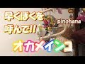 【おいで】飼い主に「おいで」と呼ばれるまで待つオカメインコのはな　pinohana