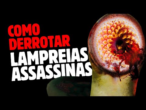 Vídeo: Como Pegar Lampreias