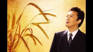 Video thumbnail of "費玉清 為我停留"