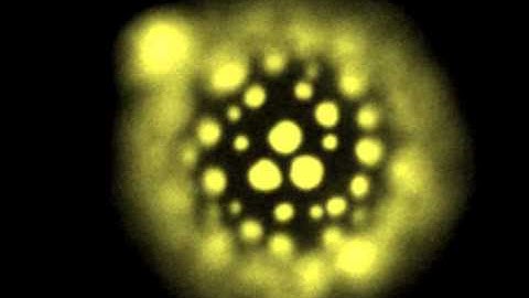 Phase Separation of Lipids