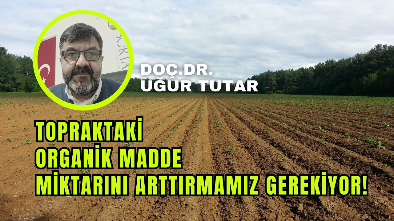 DOĞRU BİTKİ BESLEME, SULAMA VE GÜRELEME NASIL YAPILMALIDIR ? | VERİMLİ TARIM
