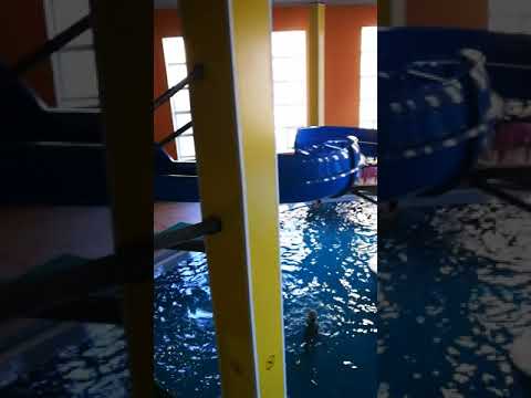 Караганда аквапарк дельфин Караганда аквапарк дельфин