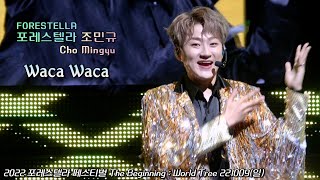 Waka Waka | 조민규(Cho MinGyu) | 2022 포레스텔라 페스티벌 The Beginning : World Tree | 221009(일)