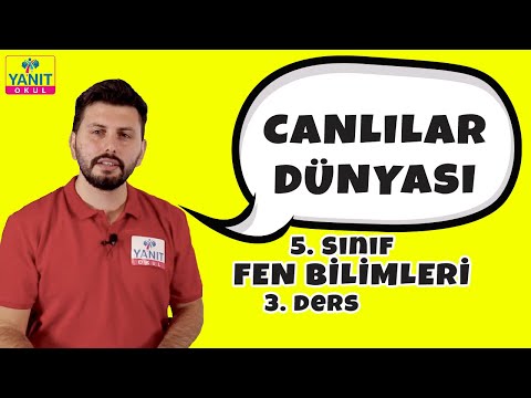 Video: Leylak Çalı Kökleri - Temellerin Yakınına Leylaklar Dikiyor Tamam