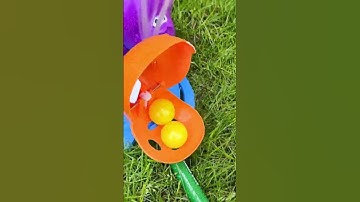 Hungry Hungry Hippos Make a Splash!