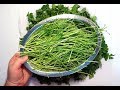 HOW TO AIR-DRY PARSLEY ?