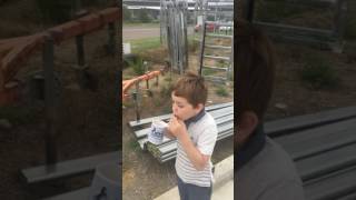 Video Thumbnail for Raw egg challenge