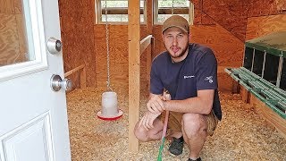 Chicken Coop Bedding Cleaning