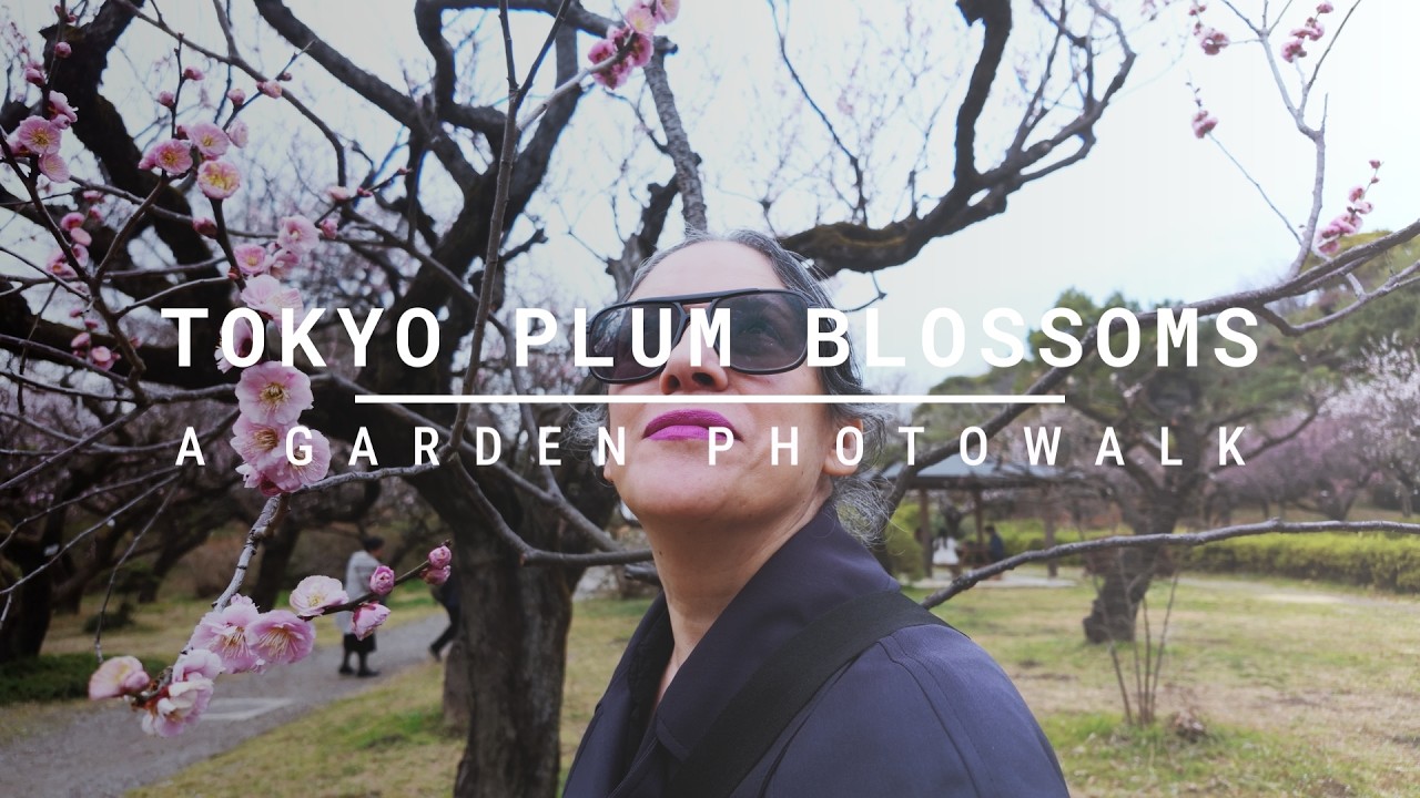 Tokyo Plum Blossoms: A Garden Photowalk w/ Ricoh GR IV