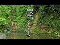 渓流ルアー初心者用講座その１　まず揃えておくべきもの