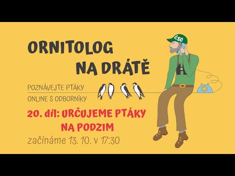 Video: Kam Ptáci Létají Na Podzim?