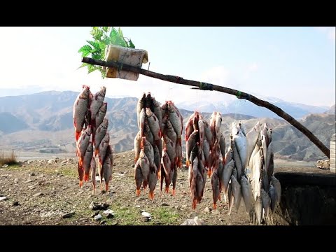 Naghlo dam and warm market of fish  د نغلوبند اود ماهیانو ګرم بازار