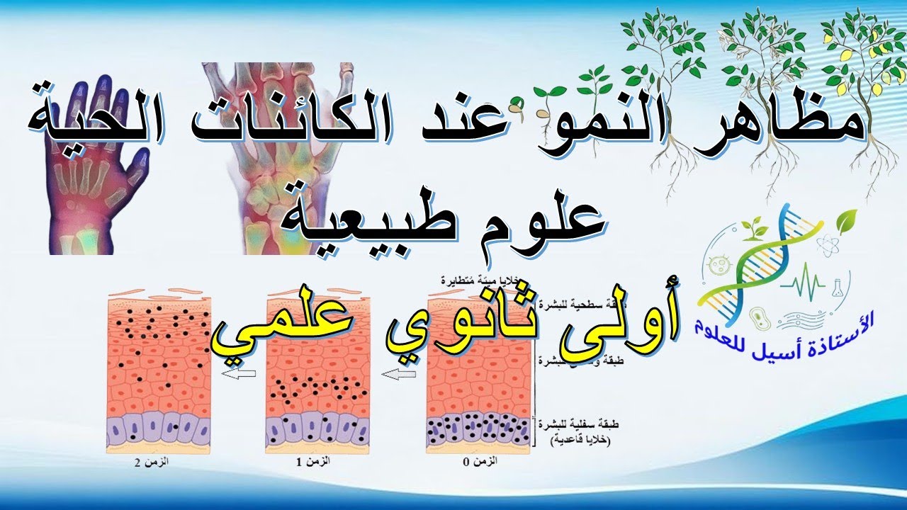 درس01: مظاهر  النمو عند الكائنات الحية /أولى ثانوي علوم و تكنولوجيا