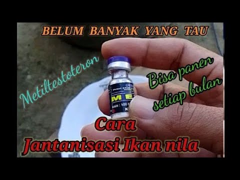 Video: 23 Hewan Siapa Anda Setelah Melihat Seorang Laba-laba