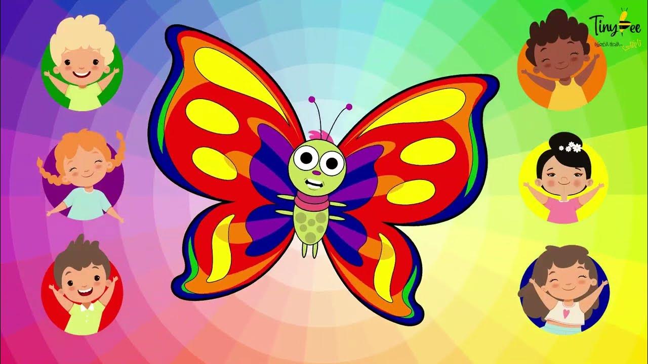 أغنية الألوان ( جديدة ) الفراشة دائرة الألوان Butterfly Song NEW