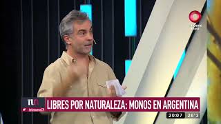 Libres X naturaleza 3 Monos en Argentina Canal 9