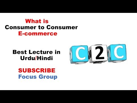 Business to Consumer E-commerce | B2C | Lecture in Urdu/Hindi