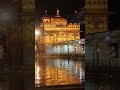 "गोल्डनटेंपल की खूबसूरतझलक"#sewa #waheguruji# shorrts#ytshorts #goldentemple #amritsar#viralshorts