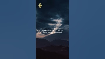 سورة النصر | تلاوة خاشعة بصوت الشيخ سعد الغامدي