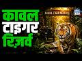 Kawal Tiger Reserve में दिखा Rare Red-necked Falcon | UPSC Environment | NEXT IAS HINDI