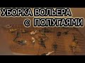 РАЗВЕДЕНИЕ ВОЛНИСТЫХ ПОПУГАЕВ.Уборка вольера(ответ на комментарий)