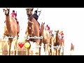 شله ابداع من كل الزوايه أداء عيضه المنهالي لا تنسون الاشتراك في القناة شله ابداع من كل الزوايه أداء عيضه المنهالي لا تنسون الاشتراك في القناة
