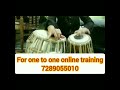 Tabla Lesson Band Keherwa / unique variation for stage performance🔥 Mp3 Song