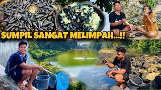 KEONG SUMPIL SERAPAH..‼️MELIMPAH BANGET DI SINI GESSS HABITAT DAN EKOSISTEMNYA MASIH TERJAGA…😍