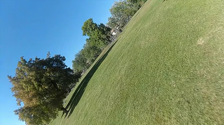 Dancing at the Park
