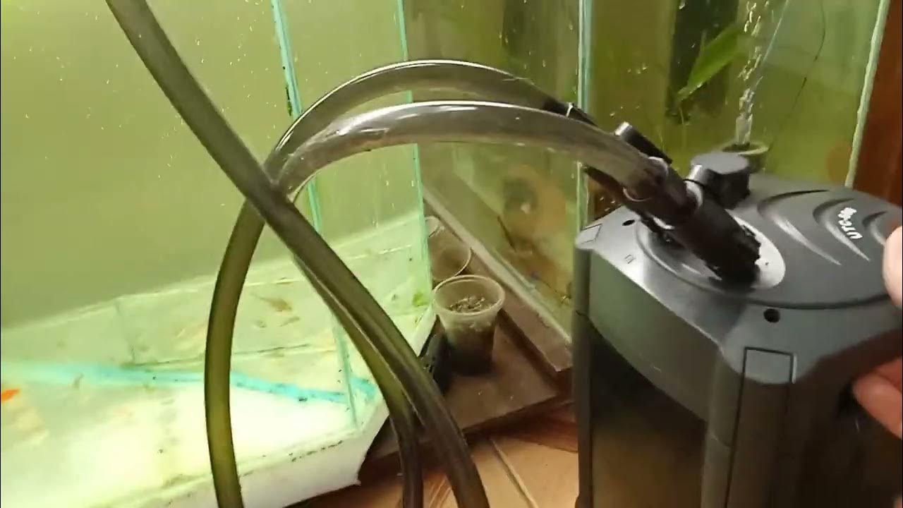 Как запустить внешний фильтр. Самодельный канистровый фильтр для аквариума. Как запустить внешний фильтр. Eheim фильтр для аквариума внешний. Внешний фильтр для аквариума 30л.