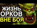 ЖИЗНЬ ОРКОВ ВНЕ БОЯ! (WARHAMMER 40000)