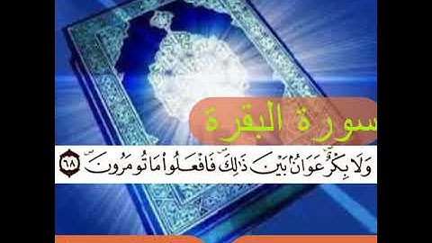 سورة البقرة(الحزب الأول/الربع الرابع) رواية ورش عن نافع