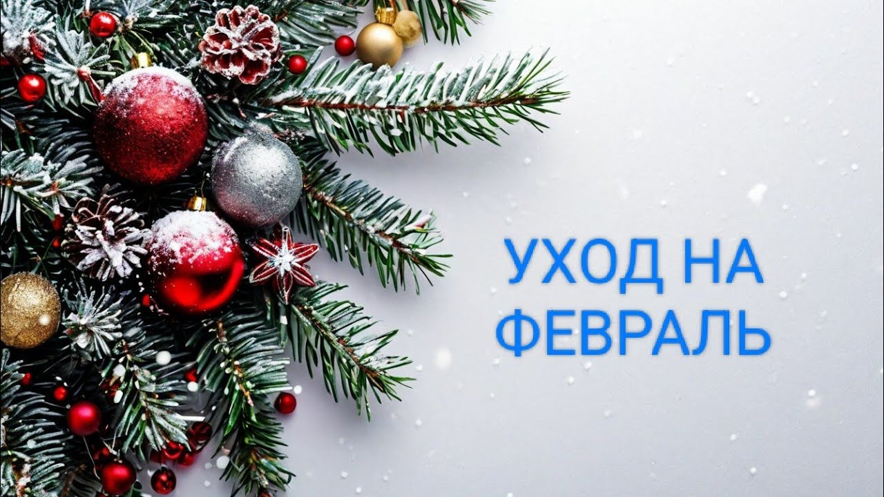 ❄МОЙ УХОД В ФЕВРАЛЕ 2026❄❄❄