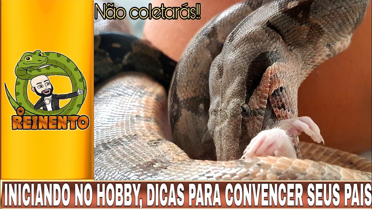 camera iphone 8 plus apk INICIANDO NO HOBBY, NÃO COLETARÁS!! INFORME-SE