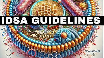Treatment for Resistant Gram Negative Bacteria - IDSA 2024 Guidelines
