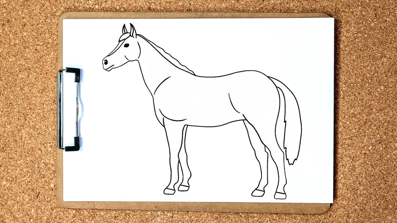 Como desenhar um Cavalo realista PASSO A PASSO narrado 