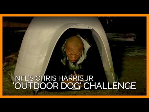 Denver Broncos' Chris Harris Jr. Takes the 'Outdoor Dog' Challenge
