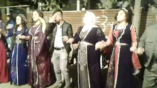 Kadir Roni & Berat Ak (Xelef) Resimi