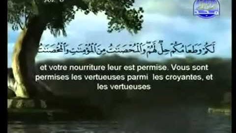 القرآن الكريم كامل الجزء  6  بصوت الشيخين السديس والشريم