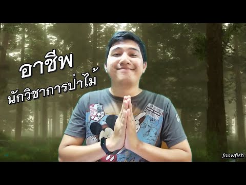 วีดีโอ: ดัดท่อ: คำอธิบาย อุปกรณ์ ประเภท และคำวิจารณ์