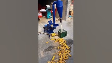 Corn Hammer Mill Ginger Grinding Machine