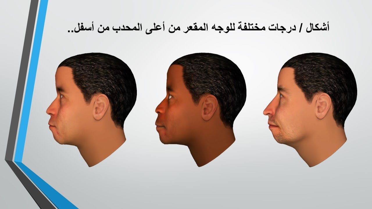 15 القطاع الجانبي للوجه - خليط المقعر والمحدب | تعلم الفراسة و قراءة الوجه