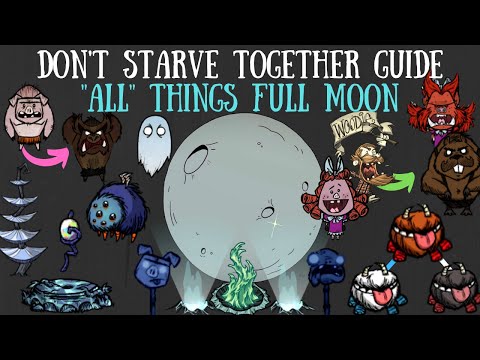 Don't Starve Together Guide: 