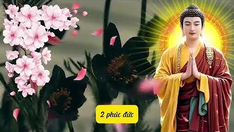 Lời Phật Dạy  5 Việc Ở Đời Càng Chịu Thiệt Càng Nhận Nhiều Phúc Đức