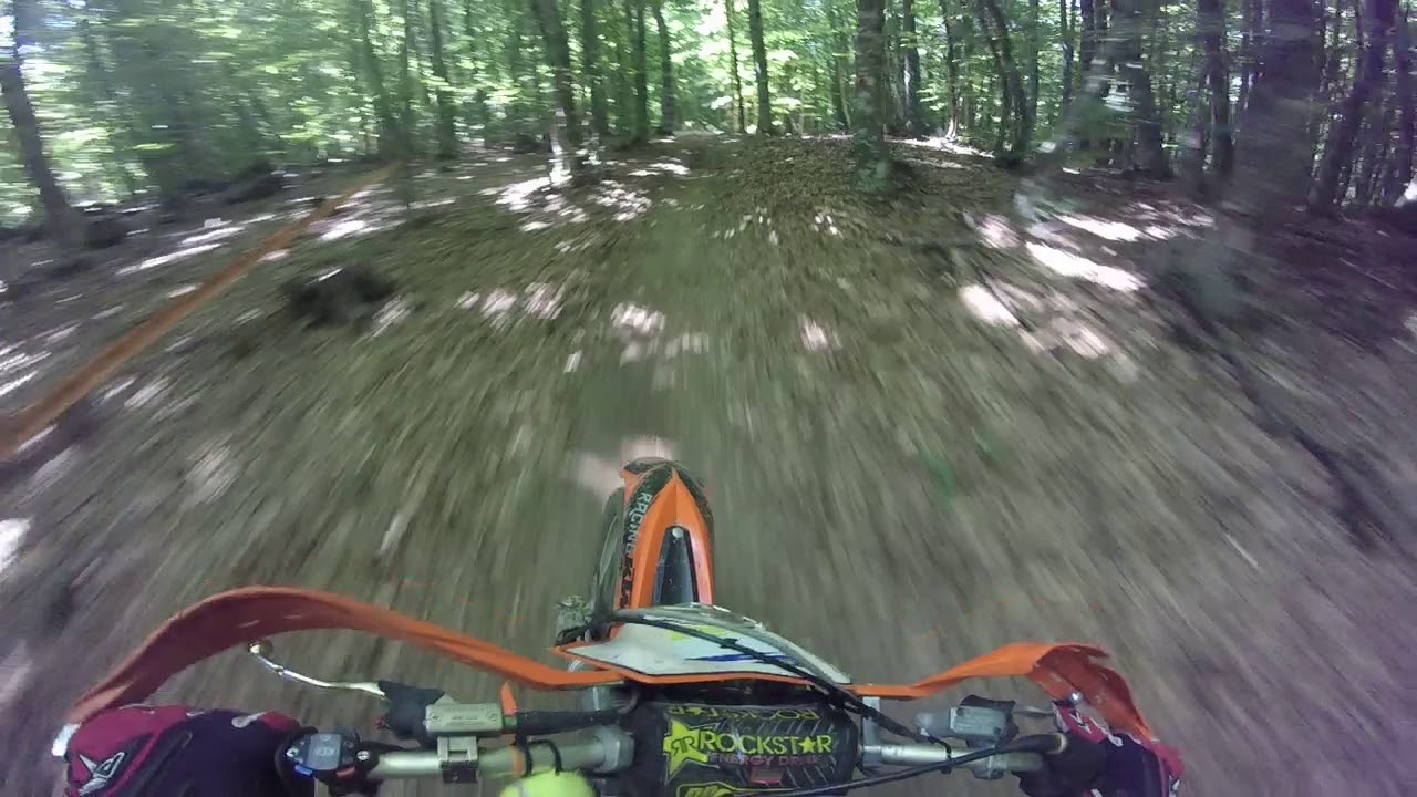 verdikousia 2019  #1