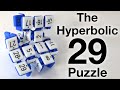 Hyperbolic 29 puzzle