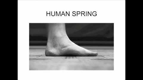 Video Tutorial #12 How The Human Spring Mechanism Absorbs Impacts Through Floor One, The Arch