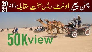 cholistan Chandan peer camel race 2024 best of camel race in 2024